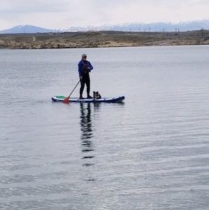 Meet your Posher, Danelle